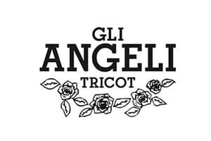 Web Agency Carpi Modena per Gli Angeli Tricot