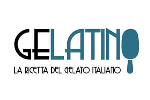 Web Agency Carpi Modena per Gelatino