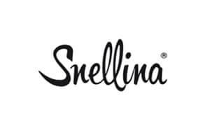 Web Agency Carpi Modena per Snellina